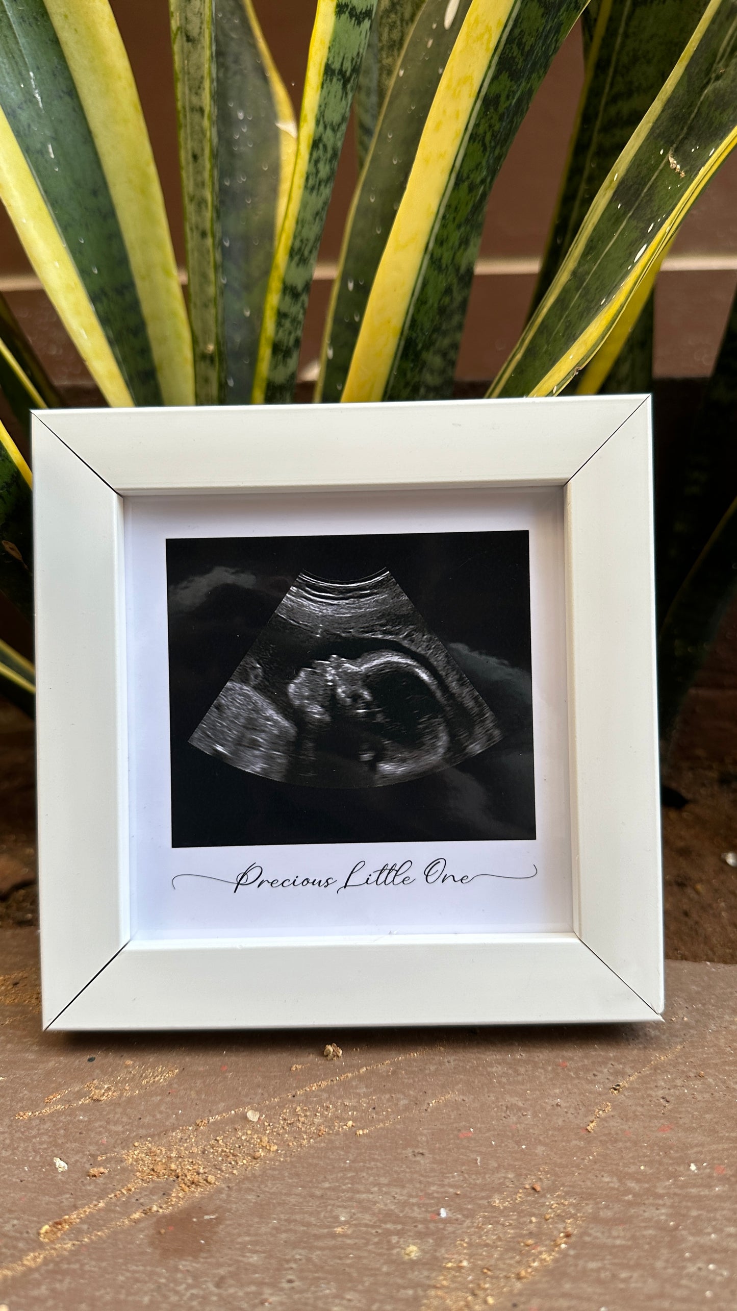 Sonogram